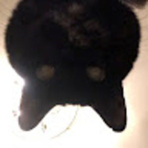 Meet your Posher, Abbey